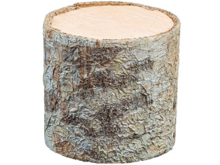 tree trunk piece "forest" Ø 16cm, H 15cm