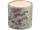 tree trunk piece "forest" Ø 16cm, H 15cm