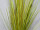 Grasbüschel "Grass" 50cm