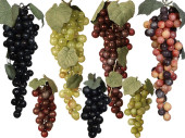 bunch of grapes in var. sizes/colors