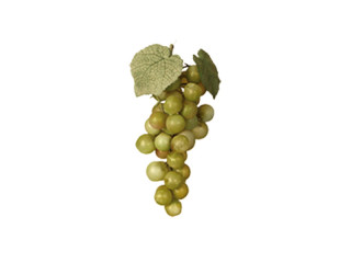 Weintraube 16cm grün