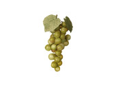 bunch of grapes 16cm green