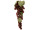 Weintraube 30cm burgund