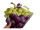affiche 2D "grappe de raisin" vert/rouge