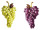 display 2D "bunch of grapes" green/red