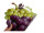 display 2D "bunch of grapes" green/red