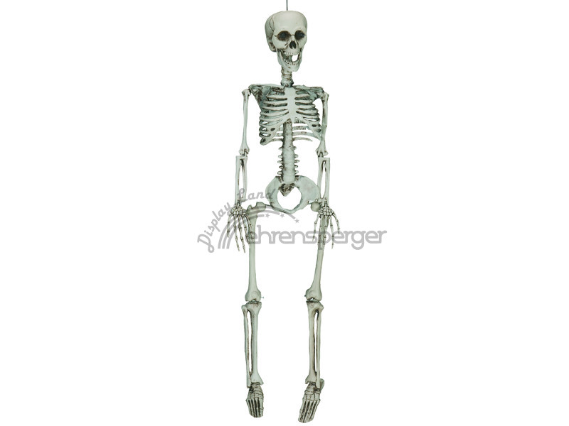 Skelett 3D 92cm, sFr. 36,50
