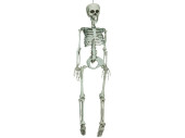 Skelett 3D 92cm