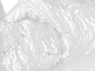 cobweb white 1000g / approx. 20m²