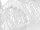 cobweb white 1000g / approx. 20m²