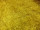 Stoff "Yeti langflor" 110cm gelb
