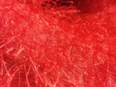 fabric "Yeti long pile" 110cm red