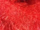 fabric "Yeti long pile" w 110cm red