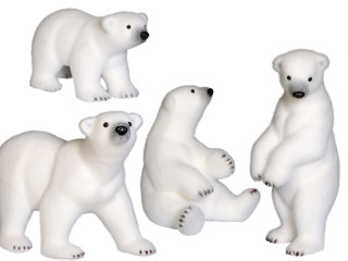 polar bear "polar" var. versions