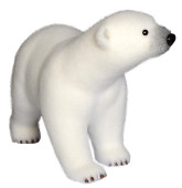 ours blanc "Polar" marchant 55cm
