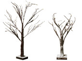 tree brown snowed with LEDs battery var. sizes
