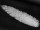 ostrich feathers white 50 - 60cm