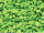 Granulat Ø 2 - 3mm, 800g grasgrün