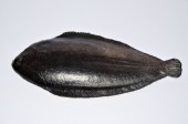 poisson carrelet 26cm gris 2 pièces