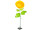 Blume Ranunculus XL gelb