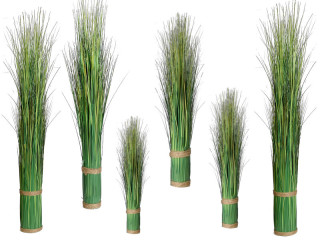 grass bush Jenny in various sizes
