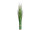 grass bush "Jenny" h 90cm, Ø 8cm