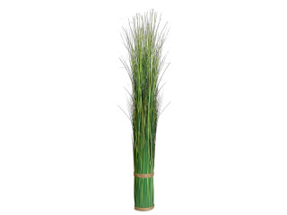 brousse des herbes "Jenny" h 120cm, Ø 10,5cm