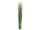 brousse des herbes "Jenny" h 120cm, Ø 10,5cm
