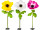Blume Anemone XL in versch. Farben