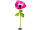 fleur anémone XL rose fuchsia