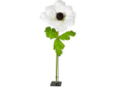 fleur anémone XL blanc