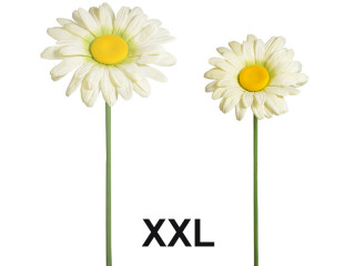 Blume Margerite XXL in versch. Grössen