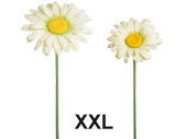 fleur marguerite XXL dans diff. tailles