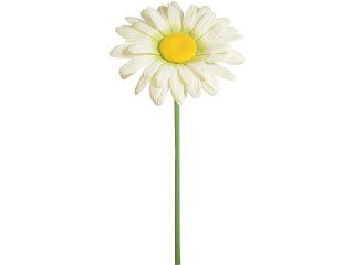 Blume Margerite XXL H 125cm, Ø 50cm
