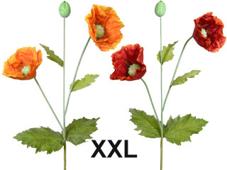 Blume Mohn XXL in versch. Farben