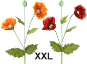 fleur pavot XXL dans diff. couleurs