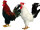 cock naturalistic 35cm var. colors