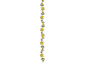 daffodil garland 180cm