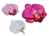 Orchideenblüten Babylon 12 Stück in versch. Farben