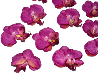 Orchideenblüten "Babylon" 12 Stück violett
