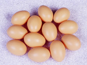 eggs beige 6,5cm 12 pcs.