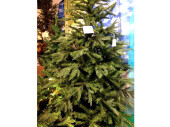 Tannenbaum "Victoria" versch. Grössen