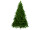 fir "Victoria" var. sizes