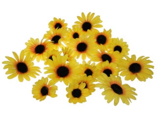 sunflower blossoms "Maya" 20 pieces