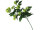 hops branch "premium" 60cm