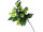 Hopfenzweig "Premium" 3-fach 60cm
