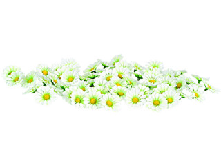 fleuraisons à éparpiller Ø 4cm 60-pcs. blanc/vert/jaune