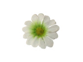 Streublüten Ø 4cm 60 St. weiss/grün/gelb
