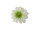 fleuraisons à éparpiller Ø 4cm 60-pcs. blanc/vert/jaune