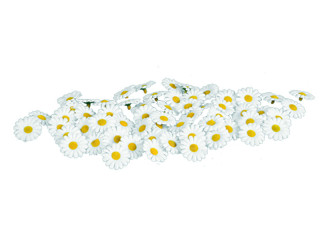 scatter blossoms Ø 3cm 60-pieces white/yellow